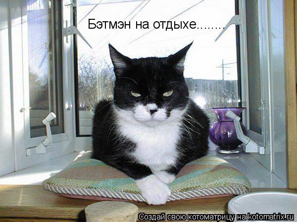 Бэтмэн на отдыхе........... Котоматрица: Бэтмэн на отдыхе........