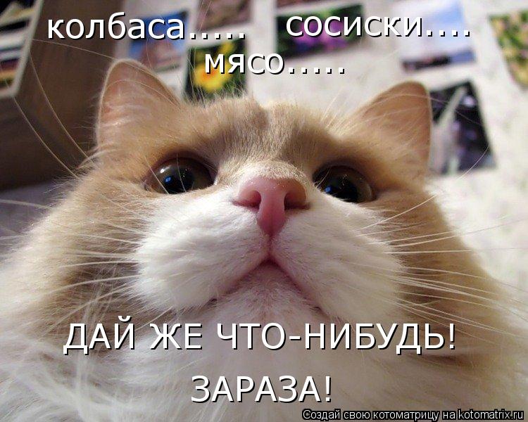 колбаса..... сосиски.... мясо..... ДАЙ ЖЕ ЧТО-НИБУДЬ! ЗАРАЗА!... Котоматрица: колбаса..... сосиски.... мясо..... ДАЙ ЖЕ ЧТО-НИБУДЬ! ЗАРАЗА!