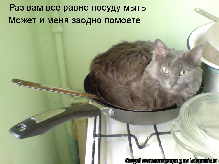 Раз вам все равно посуду мыть Может и меня заодно помоете... Котоматрица: Раз вам все равно посуду мыть Может и меня заодно помоете