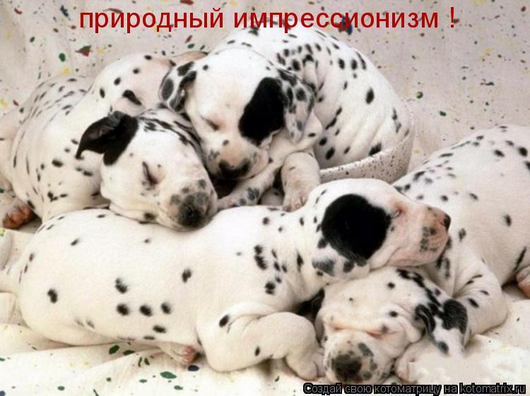 природный импрессионизм !... Котоматрица: природный импрессионизм !