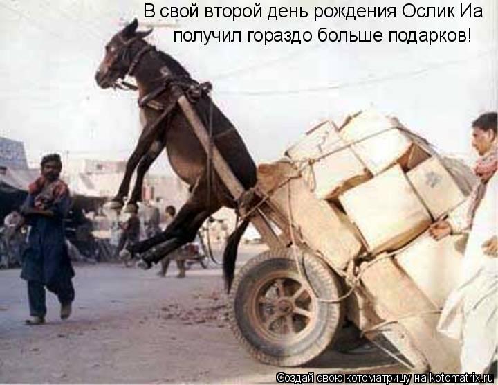 В свой второй день рождения Ослик Иа получил гораздо больше подарков!... Котоматрица: В свой второй день рождения Ослик Иа получил гораздо больше подарков!