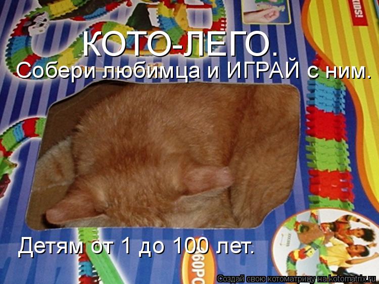 КОТО-ЛЕГО. Собери любимца и ИГРАЙ с ним. Детям от 1 до 100 лет.... Котоматрица: КОТО-ЛЕГО. Собери любимца и ИГРАЙ с ним. Детям от 1 до 100 лет.