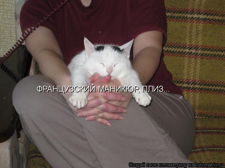 ФРАНЦУЗСКИЙ МАНИКЮР, ПЛИЗ...... Котоматрица: ФРАНЦУЗСКИЙ МАНИКЮР, ПЛИЗ...