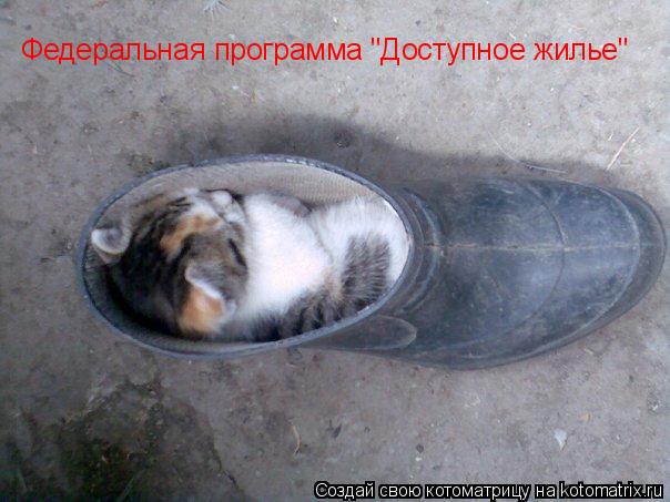 Федеральная программа "Доступное жилье"... Котоматрица: Федеральная программа "Доступное жилье"