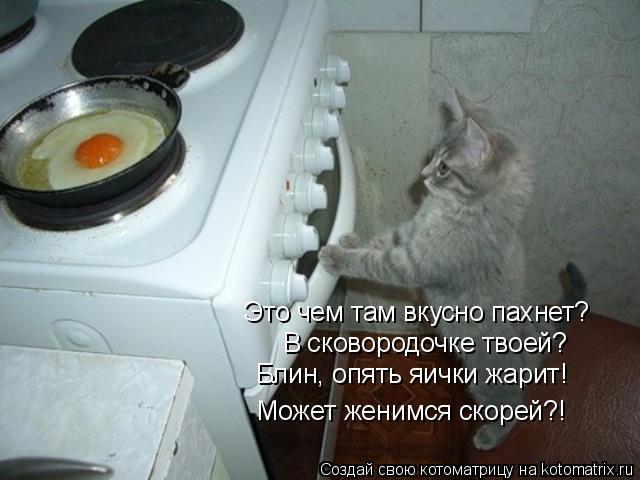 Это чем там вкусно пахнет? В сковородочке твоей? Блин, опять яички жарит! Может женимся скорей?!... Котоматрица: Это чем там вкусно пахнет? В сковородочке твоей? Блин, опять яички жарит! Может женимся скорей?!