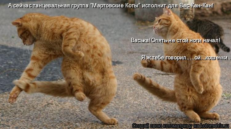 А сейчас танцевальная группа "Мартовские Коты" исполнит для Вас Кан-Кан! Васька!Опять не стой ноги на... Котоматрица: А сейчас танцевальная группа "Мартовские Коты" исполнит для Вас Кан-Кан! Васька!Опять не стой ноги начал! Я ж тебе говорил.....ой...кошечки........