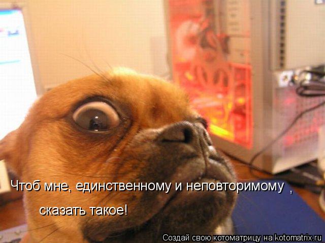 Чтоб мне, единственному и неповторимому сказать такое! ,... Котоматрица: Чтоб мне, единственному и неповторимому сказать такое! ,