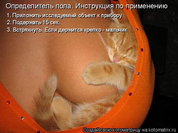 Определитель пола. Инструкция по применению 1. Приложить исследуемый объект к прибору 2. Подержать 15... Котоматрица: Определитель пола. Инструкция по применению 1. Приложить исследуемый объект к прибору 2. Подержать 15 сек. 3. Встряхнуть. Если держится крепко