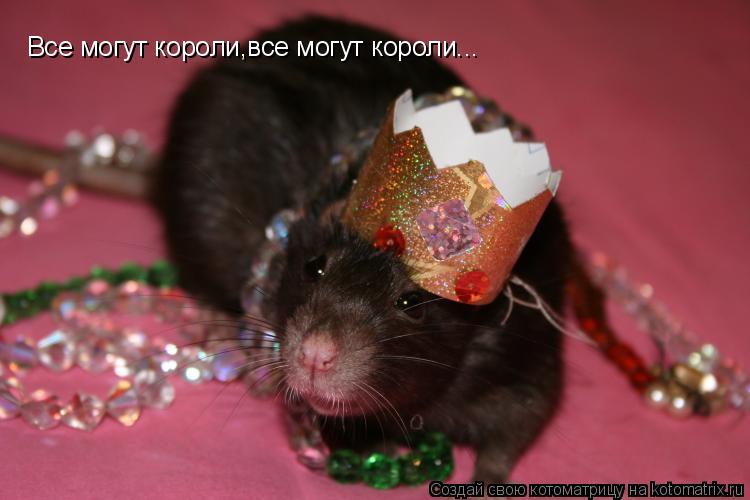 Все могут короли,все могут короли...... Котоматрица: Все могут короли,все могут короли...