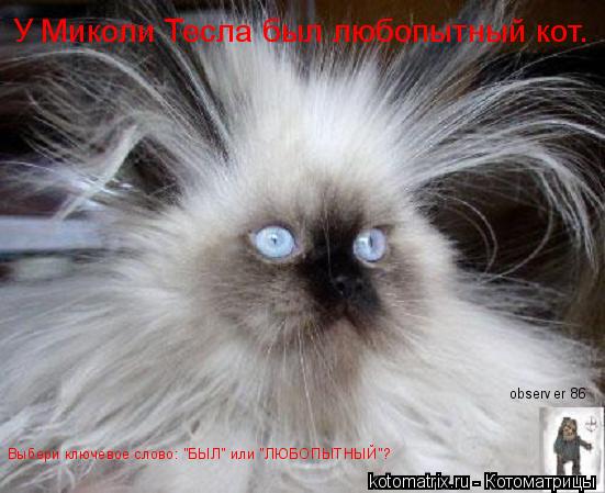 Котоматрица: У Миколи Тесла был любопытный кот.  Выбери ключевое слово: "БЫЛ" или "ЛЮБОПЫТНЫЙ"? observer 86