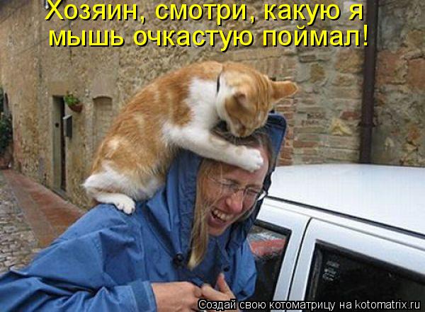 Котоматрица: Хозяин, смотри, какую я  мышь очкастую поймал!