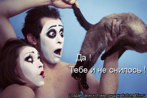 Да ! Тебе и не снилось !... Котоматрица: Да ! Тебе и не снилось !