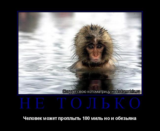 Не только Человек может проплыть 100 миль но и обезьяна... Котоматрица: Не только Человек может проплыть 100 миль но и обезьяна