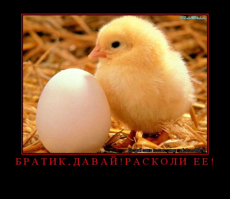 ... Котоматрица: