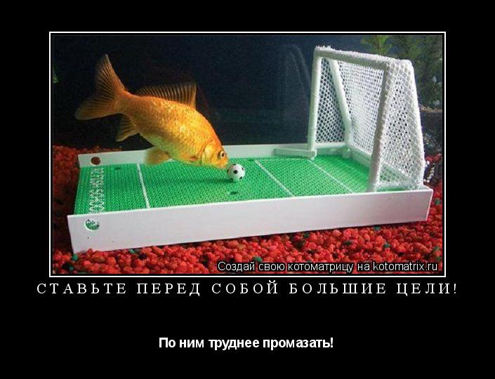Ставьте перед собой большие цели! По ним труднее промазать!... Котоматрица: Ставьте перед собой большие цели! По ним труднее промазать!