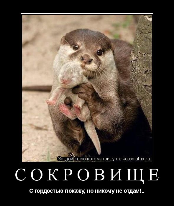 Сокровище С гордостью покажу, но никому не отдам!..... Котоматрица: Сокровище С гордостью покажу, но никому не отдам!..