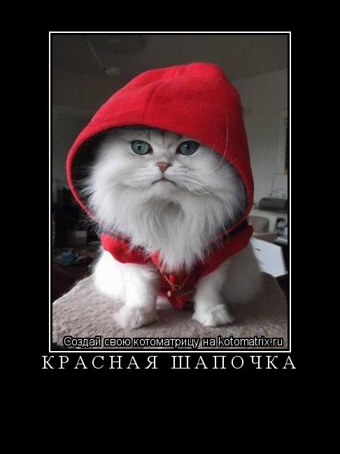 Красная шапочка ... Котоматрица: Красная шапочка