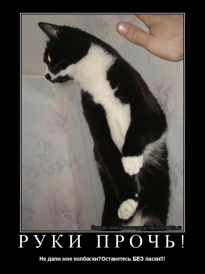 Руки прочь! Не дали мне колбаски?Останетесь БЕЗ ласки!!!... Котоматрица: Руки прочь! Не дали мне колбаски?Останетесь БЕЗ ласки!!!