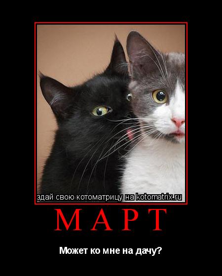 МАРТ Может ко мне на дачу?... Котоматрица: МАРТ Может ко мне на дачу?