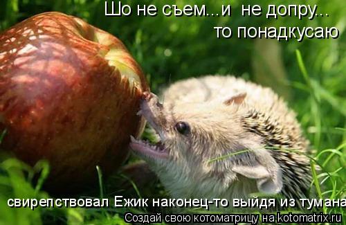 Шо не съем...и не допру... то понадкусаю свирепствовал Ежик наконец-то выйдя из тумана... Котоматрица: Шо не съем...и не допру... то понадкусаю свирепствовал Ежик наконец-то выйдя из тумана