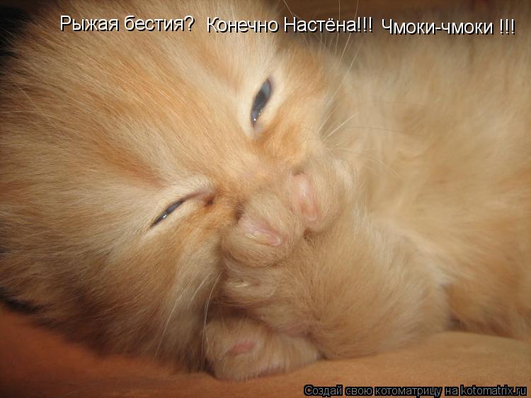Рыжая бестия? Конечно Настёна!!! Чмоки-чмоки !!!... Котоматрица: Рыжая бестия? Конечно Настёна!!! Чмоки-чмоки !!!