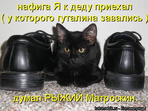 нафига Я к деду приехал ( у которого гуталина завались ) думал РЫЖИЙ Матроскин.... Котоматрица: нафига Я к деду приехал ( у которого гуталина завались ) думал РЫЖИЙ Матроскин.