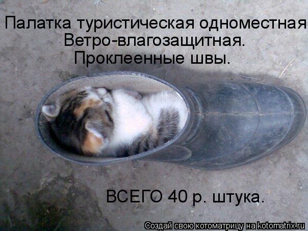 Палатка туристическая одноместная Ветро-влагозащитная. Проклеенные швы. ВСЕГО 40 р. штука.... Котоматрица: Палатка туристическая одноместная Ветро-влагозащитная. Проклеенные швы. ВСЕГО 40 р. штука.