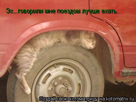 Эх...говорили мне поездом лучше ехать.... Котоматрица: Эх...говорили мне поездом лучше ехать.
