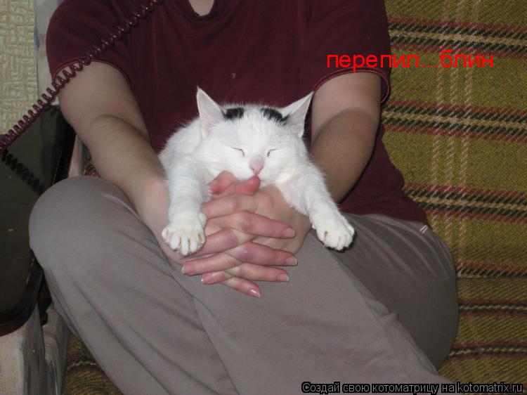 перепил...блин... Котоматрица: перепил...блин