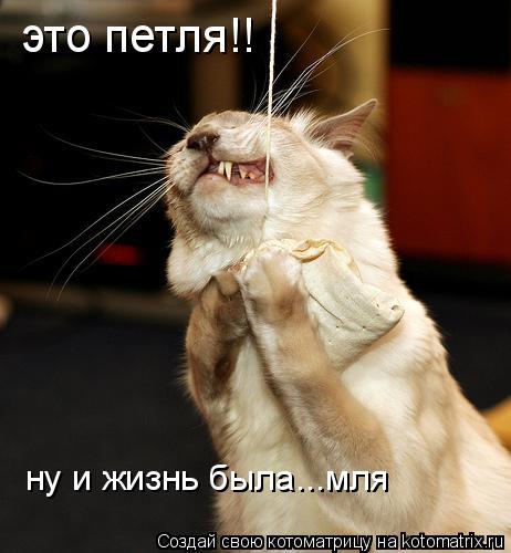 это петля!! ну и жизнь была...мля... Котоматрица: это петля!! ну и жизнь была...мля