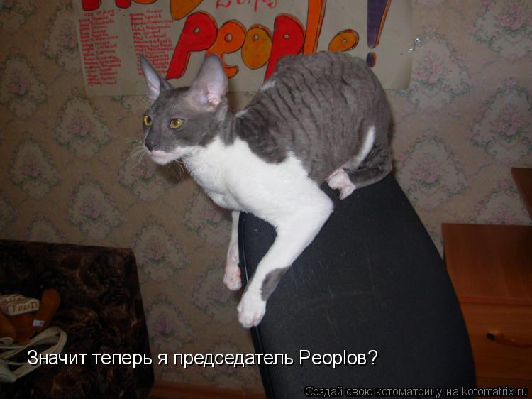 Значит теперь я председатель Peoplов?... Котоматрица: Значит теперь я председатель Peoplов?