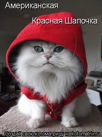 Американская Красная Шапочка... Котоматрица: Американская Красная Шапочка