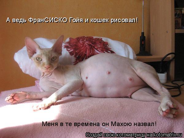 А ведь ФранСИСКО Гойя и кошек рисовал! Меня в те времена он Махою назвал!... Котоматрица: А ведь ФранСИСКО Гойя и кошек рисовал! Меня в те времена он Махою назвал!