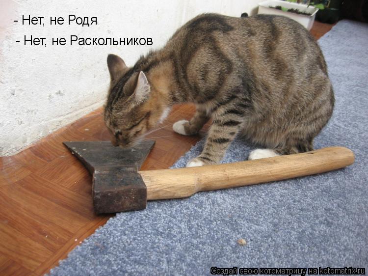 - Нет, не Родя - Нет, не Раскольников... Котоматрица: - Нет, не Родя - Нет, не Раскольников