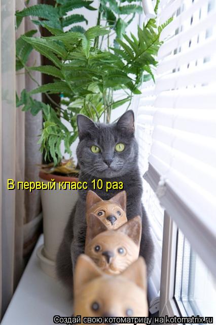 В первый класс 10 раз... Котоматрица: В первый класс 10 раз