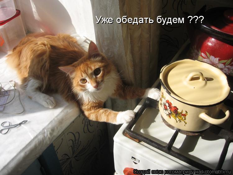Уже обедать будем ???... Котоматрица: Уже обедать будем ???