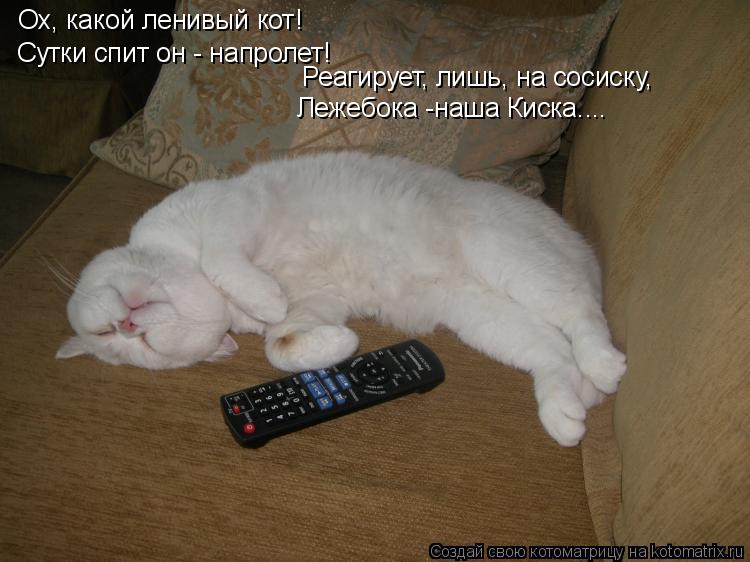 Ох, какой ленивый кот! Сутки спит он - напролет! Реагирует, лишь, на сосиску, Лежебока -наша Киска...... Котоматрица: Ох, какой ленивый кот! Сутки спит он - напролет! Реагирует, лишь, на сосиску, Лежебока -наша Киска....