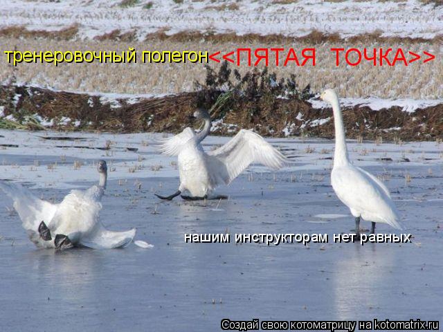 тренеровочный полегон <<ПЯТАЯ ТОЧКА>> нашим инструкторам нет равных... Котоматрица: тренеровочный полегон <<ПЯТАЯ ТОЧКА>> нашим инструкторам нет равных