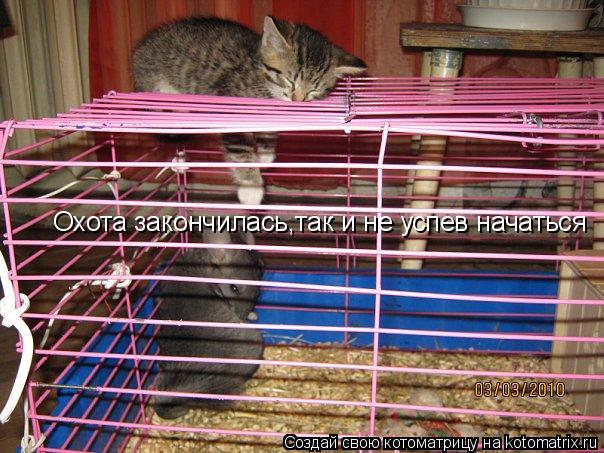 Охота закончилась,так и не успев начаться... Котоматрица: Охота закончилась,так и не успев начаться