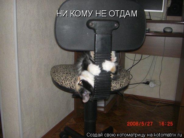 НИ КОМУ НЕ ОТДАМ... Котоматрица: НИ КОМУ НЕ ОТДАМ