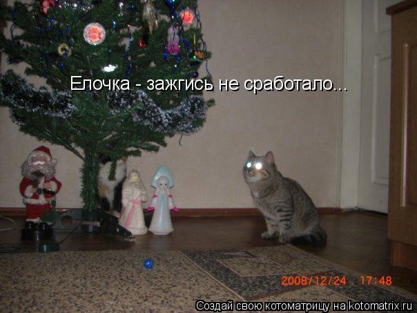 Елочка - зажгись не сработало...... Котоматрица: Елочка - зажгись не сработало...