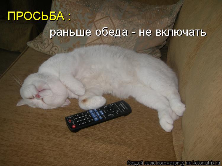 ПРОСЬБА : раньше обеда - не включать... Котоматрица: ПРОСЬБА : раньше обеда - не включать