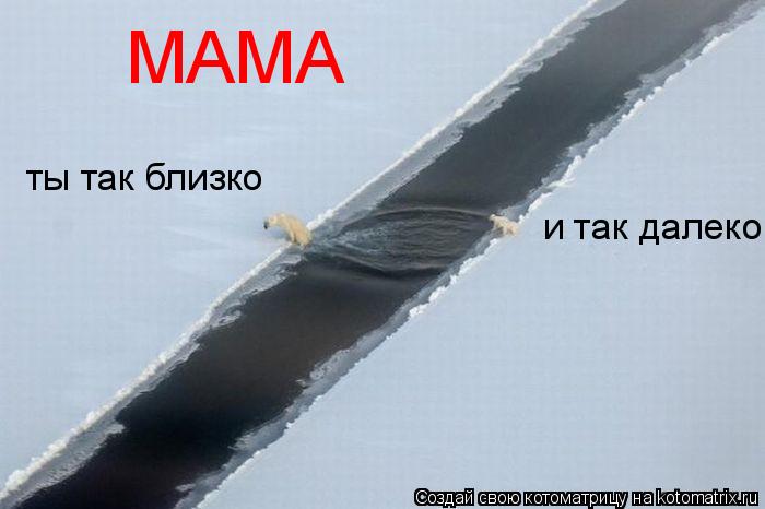 МАМА ты так близко и так далеко... Котоматрица: МАМА ты так близко и так далеко
