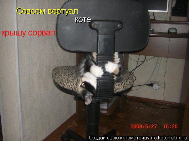 Совсем вертуал коте крышу сорвал... Котоматрица: Совсем вертуал коте крышу сорвал