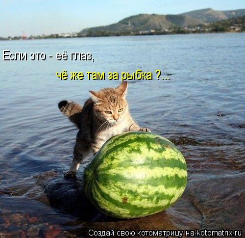Если это - её глаз, чё же там за рыбка ?...... Котоматрица: Если это - её глаз, чё же там за рыбка ?...