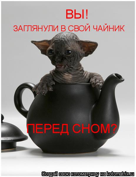 ЗАГЛЯНУЛИ В СВОЙ ЧАЙНИК ПЕРЕД СНОМ? ВЫ!... Котоматрица: ЗАГЛЯНУЛИ В СВОЙ ЧАЙНИК ПЕРЕД СНОМ? ВЫ!