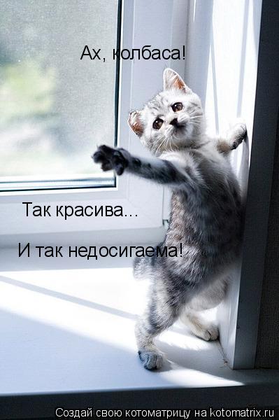 Ах, колбаса! Так красива... И так недосигаема!... Котоматрица: Ах, колбаса! Так красива... И так недосигаема!