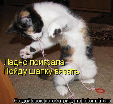Ладно поиграла Пойду шапку вязать... Котоматрица: Ладно поиграла Пойду шапку вязать