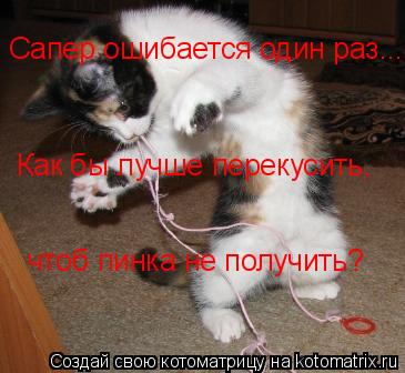 Сапер ошибается один раз... Как бы лучше перекусить, чтоб пинка не получить?... Котоматрица: Сапер ошибается один раз... Как бы лучше перекусить, чтоб пинка не получить?
