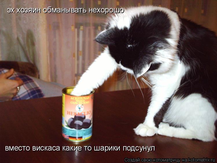 эх хозяин обманывать нехорошо вместо вискаса какие то шарики подсунул... Котоматрица: эх хозяин обманывать нехорошо вместо вискаса какие то шарики подсунул